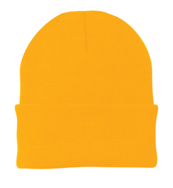 Port & Company Knit Cap